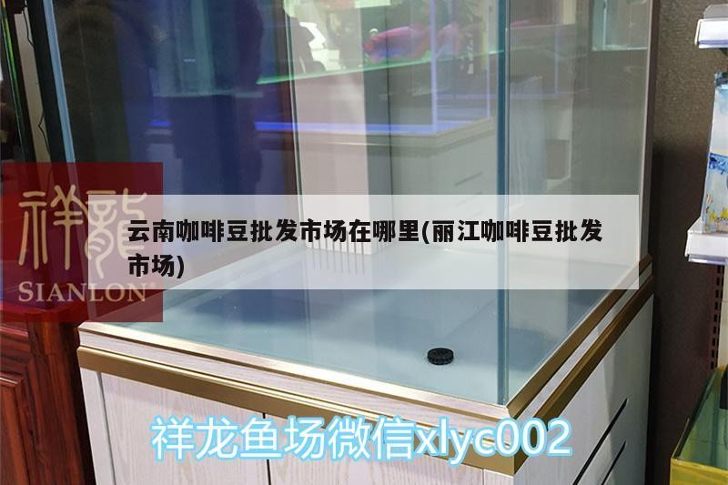 云南咖啡豆批發市場在哪里(麗江咖啡豆批發市場)