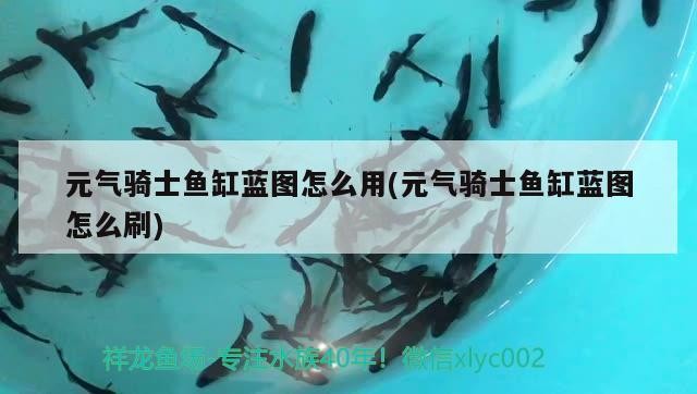 元氣騎士魚缸藍圖怎么用(元氣騎士魚缸藍圖怎么刷)