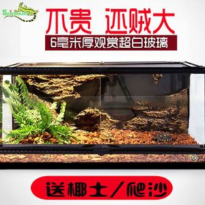 倉鼠魚缸造景圖：倉鼠魚缸造景的創意設計