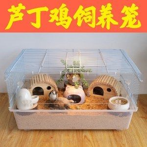 倉鼠魚缸造景圖：倉鼠魚缸造景的創意設計