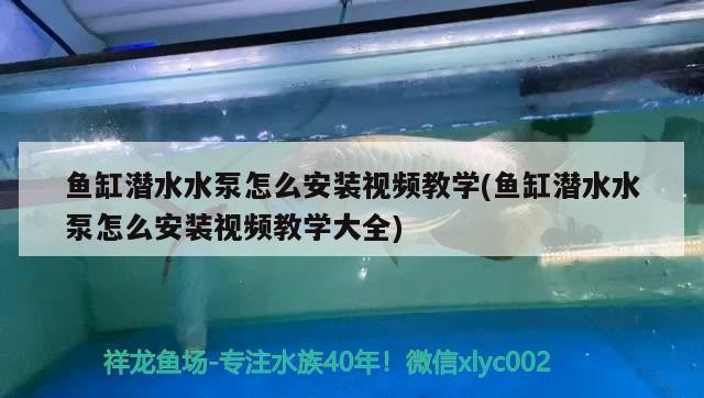 孔雀魚小魚苗怎么養