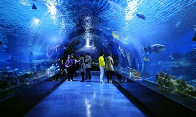 益陽水族館vs祥龍魚場（益陽水族館與祥龍魚場的區別）
