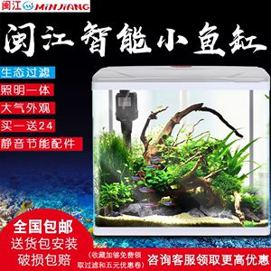大型生態魚缸的按裝：大型生態魚缸安裝步驟和注意事項和注意事項