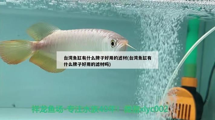 龍魚專用藥奧森牌子怎樣vs祥龍魚場：奧森\\“奧森\”和“祥龍魚場\”的龍魚專用藥對比