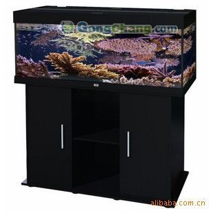 超白魚缸和水族箱哪種更實用：超白魚缸與水族箱的區別