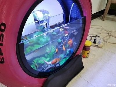 上海吉星鮮花漁具商店（上海吉星鮮花漁具商店地址）