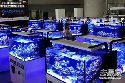 2024年廣州水族展會時間：2024年廣州國際水產(chǎn)養(yǎng)殖展?jié)O博會2024年9月25日舉辦