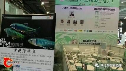 2024年廣州水族展會時間：2024年廣州國際水產(chǎn)養(yǎng)殖展?jié)O博會2024年9月25日舉辦