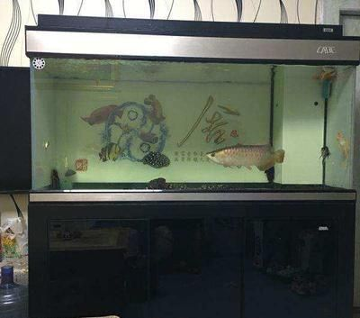 瀘溪縣宜家水族館（瀘溪縣宜家水族館電話）