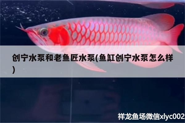 創寧水泵和老魚匠水泵(魚缸創寧水泵怎么樣)