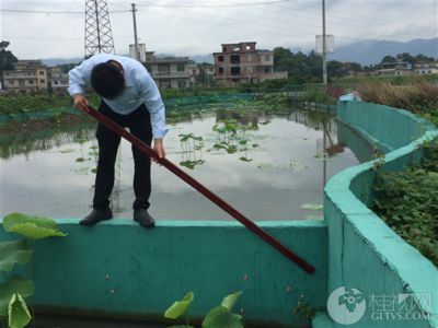 辦公室能放魚缸嗎 黨員：辦公室養魚的風水禁忌