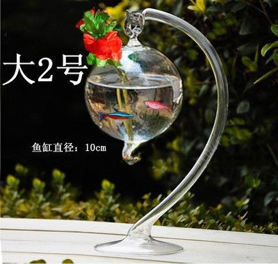 10cm小魚缸：10cm小魚缸中飼養的魚類