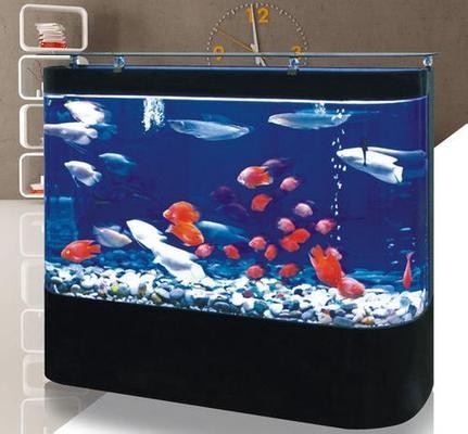 鐵嶺彩貝水族館（鐵嶺彩貝水族館電話）