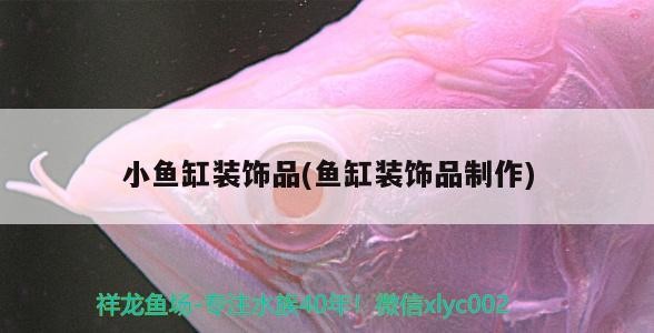 小魚(yú)缸裝飾品(魚(yú)缸裝飾品制作)