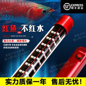 紅龍魚比賽用的神燈叫什么：紅龍魚比賽用的神燈叫什么詳情紅龍魚比賽用的神燈詳情