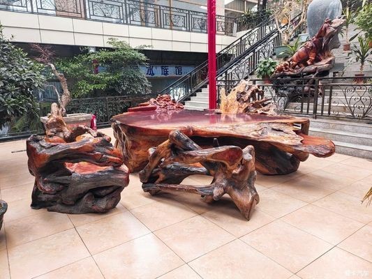 龍魚尾巴長包怎么辦vs祥龍魚場：龍魚尾巴長包怎么辦