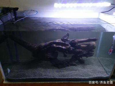 但是魚的魚缸溫度在多少合適：家庭養魚的溫度管理技巧對于家庭養魚的愛好者來說是一個重要的研究方向