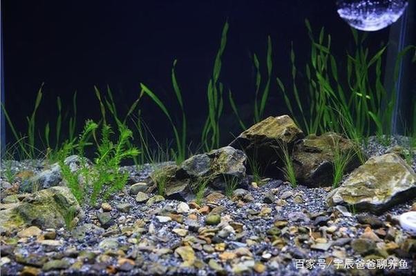 庫爾勒海藍天水族館（庫爾勒碧海藍天）