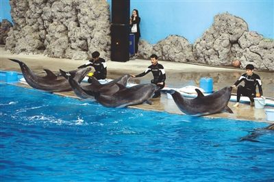 南平水族館vs祥龍魚場（南平水族館和祥龍魚場有什么區別？）
