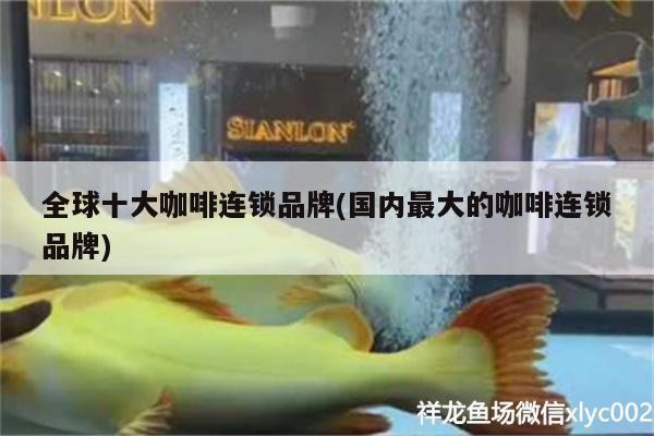 全球十大咖啡連鎖品牌(國(guó)內(nèi)最大的咖啡連鎖品牌)