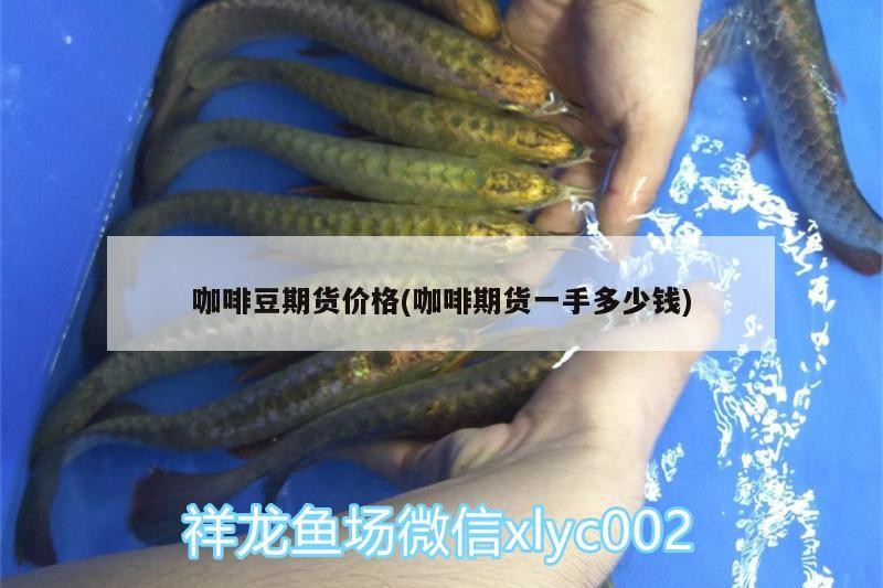 咖啡豆期貨價格(咖啡期貨一手多少錢)