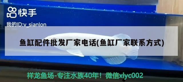 魚缸配件批發廠家電話(魚缸廠家聯系方式)