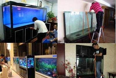 大型魚缸清潔魚怎么養(yǎng)：h魚缸清潔工魚的養(yǎng)殖方法，適合大型魚缸的清潔方法
