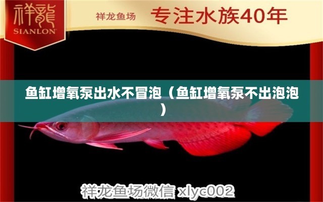 蘇州彩蝶魚缸專賣店電話