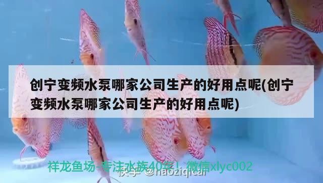 創寧變頻水泵哪家公司生產的好用點呢(創寧變頻水泵哪家公司生產的好用點呢)
