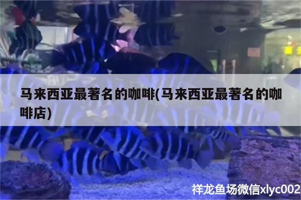 馬來西亞最著名的咖啡(馬來西亞最著名的咖啡店)