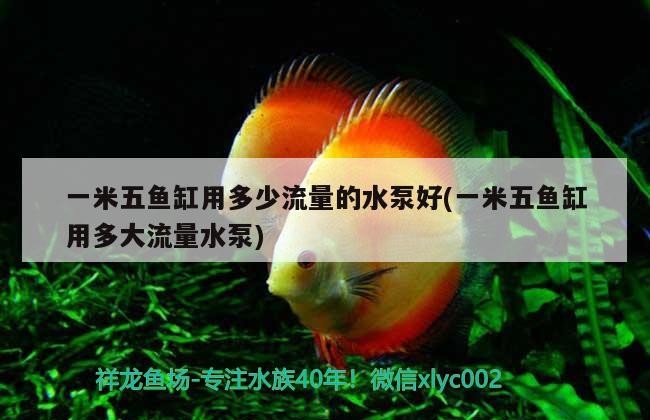 一米五魚缸用多少流量的水泵好(一米五魚缸用多大流量水泵)