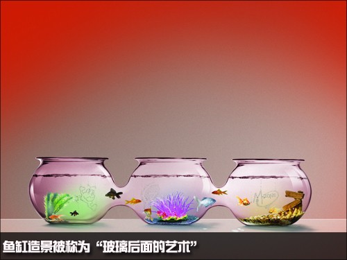 遂寧魚缸定制電話號碼查詢系統