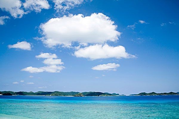 林芝水族館vs祥龍魚場（林芝水族館和祥龍魚場哪個好）