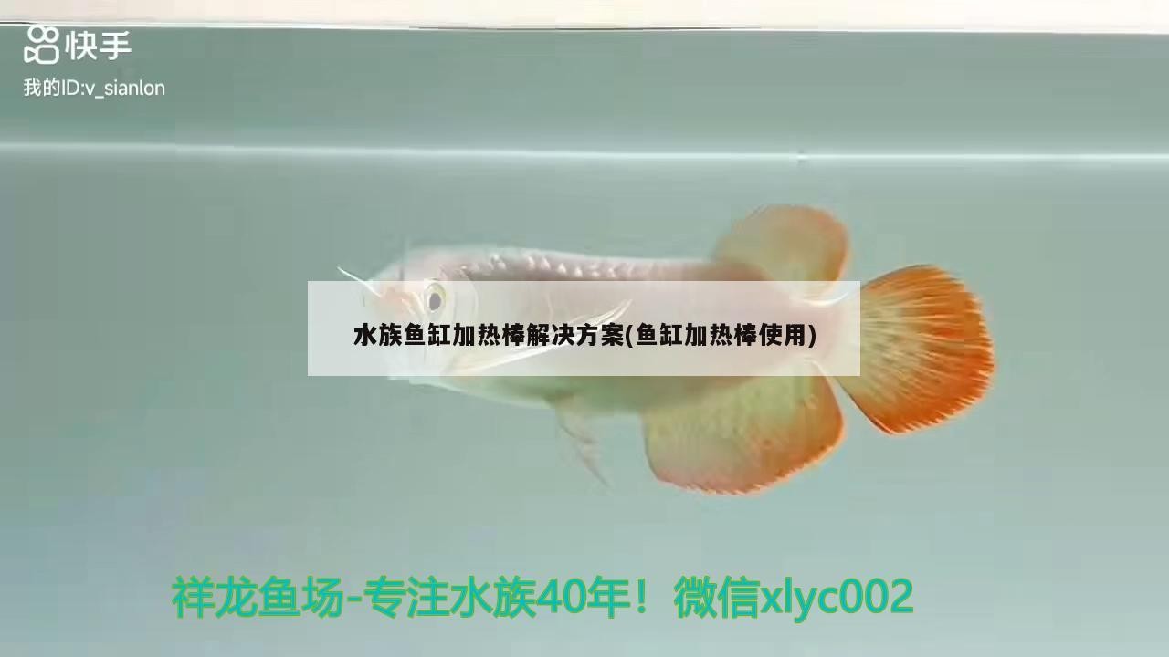 水族魚(yú)缸加熱棒解決方案(魚(yú)缸加熱棒使用)