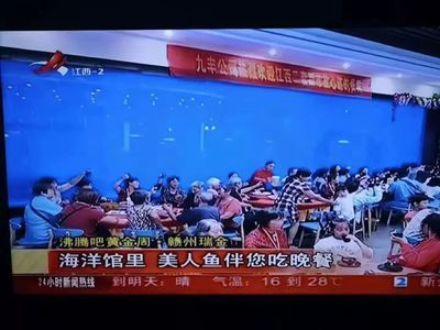 贛州水族館vs祥龍魚場（贛州水族館和祥龍魚場是與水族相關的場所，但它們之間存在不同）