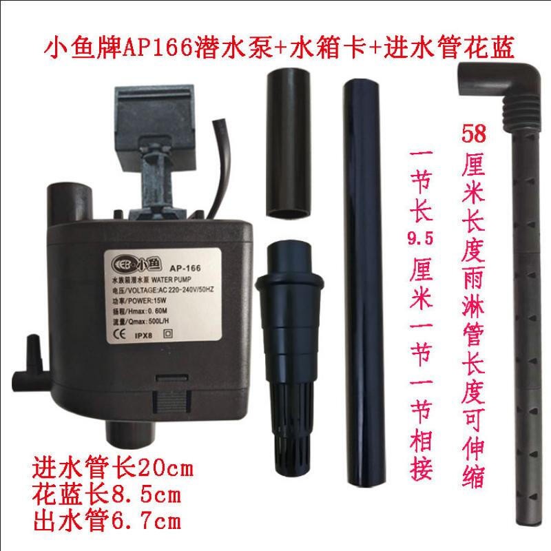白色的大型觀賞魚有哪些圖片和名稱