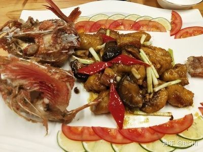 紅龍魚能食用嗎？