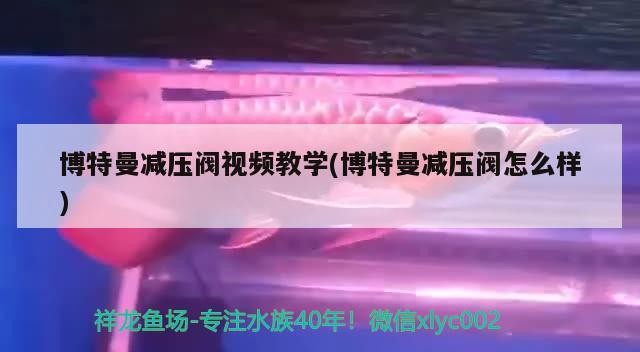 博特曼減壓閥視頻教學(博特曼減壓閥怎么樣)