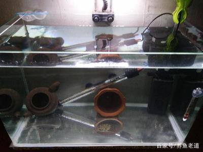 小魚缸氧氣泵需要一直開著嗎