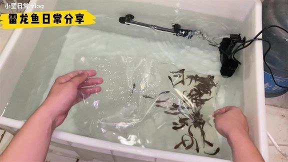 成品魚缸價格：成品魚缸的價格