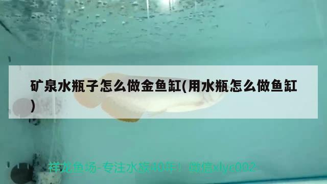 礦泉水瓶子怎么做金魚缸(用水瓶怎么做魚缸)
