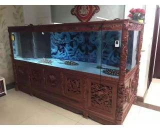 大型魚(yú)缸搬運(yùn)注意事項(xiàng)有哪些視頻：烏魯木齊魚(yú)缸搬運(yùn)前注意事項(xiàng)