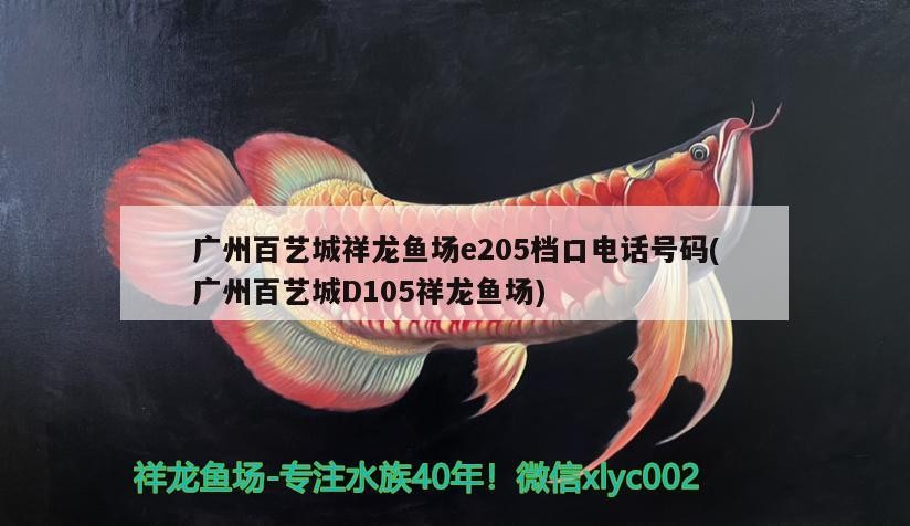 廣州百藝城祥龍魚場e205檔口電話號碼(廣州百藝城D105祥龍魚場)