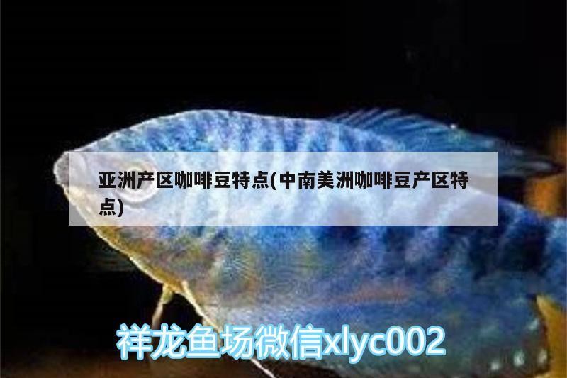 魚缸用增氧泵價格是多少:魚缸增氧機(jī)-xtrac增氧機(jī)-xtrac增氧機(jī) 亞洲產(chǎn)區(qū)咖啡豆特點(中南美洲咖啡豆產(chǎn)區(qū)特點) 馬來西亞咖啡 亞洲產(chǎn)區(qū)咖啡豆特點(中南美洲咖啡豆產(chǎn)區(qū)特點) 亞洲產(chǎn)區(qū)咖啡豆特點(中南美洲咖啡豆產(chǎn)區(qū)特點) 馬來西亞咖啡