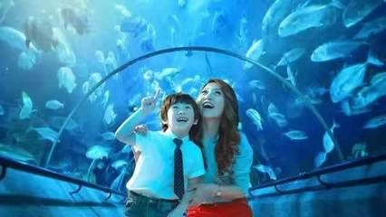 張家界水族館vs祥龍魚場（張家界水族館與祥龍魚場的區別）