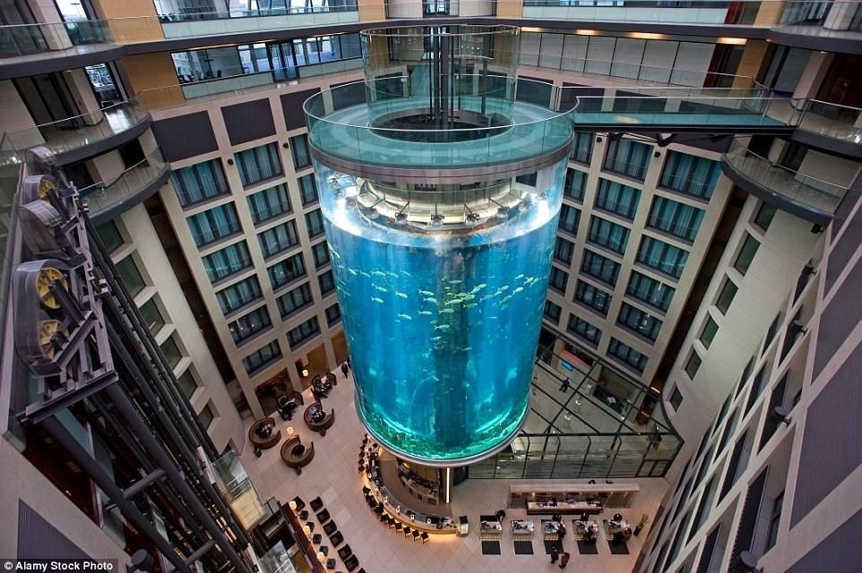 張家界水族館vs祥龍魚場（張家界水族館與祥龍魚場的區別）