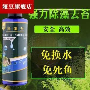 魚缸除藻劑會死魚嗎，生物除藻法的實(shí)際效果如何