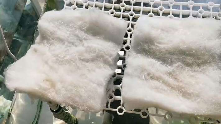 彩蝶魚缸博特魚缸哪家的好?（彩蝶魚缸和博特魚缸對比）