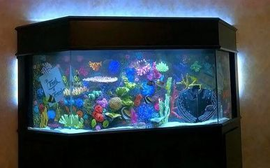 90高的魚(yú)缸適合養(yǎng)什么魚(yú)：90高的魚(yú)缸適合養(yǎng)什么魚(yú)？