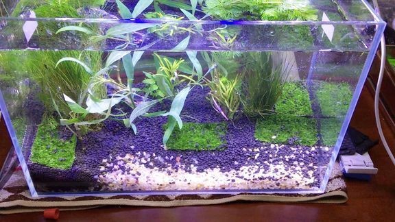 盤錦市興隆臺區深藍水族館（盤錦市興隆臺區深藍水族館電話）